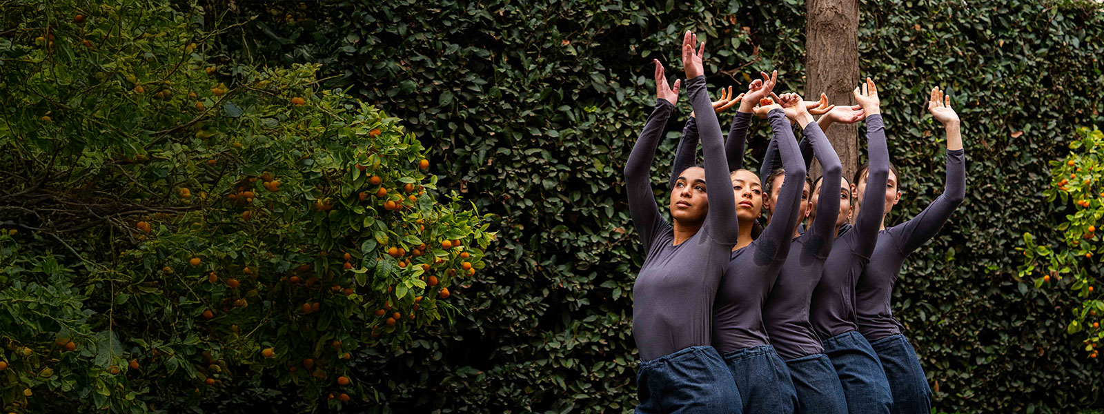 In Plain Site Trisha Brown Dance Company