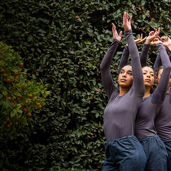 In Plain Site Trisha Brown Dance Company