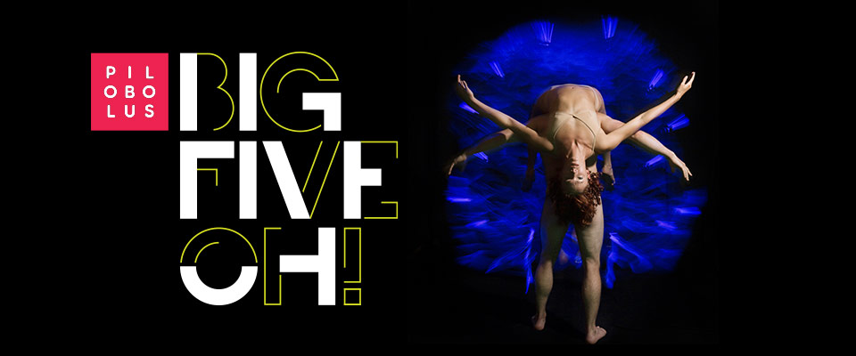 Pilobolus, "Big Five-Oh!" A dancer looks at the camera upside-down, draped over the back of another dancer