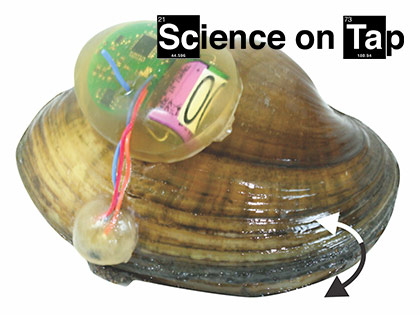 Freshwater Mussels to the Rescue