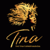 Tina headshot in center with text Tina the Tina Turner Musical on bottom