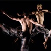 Trisha Brown Dancing with Bob